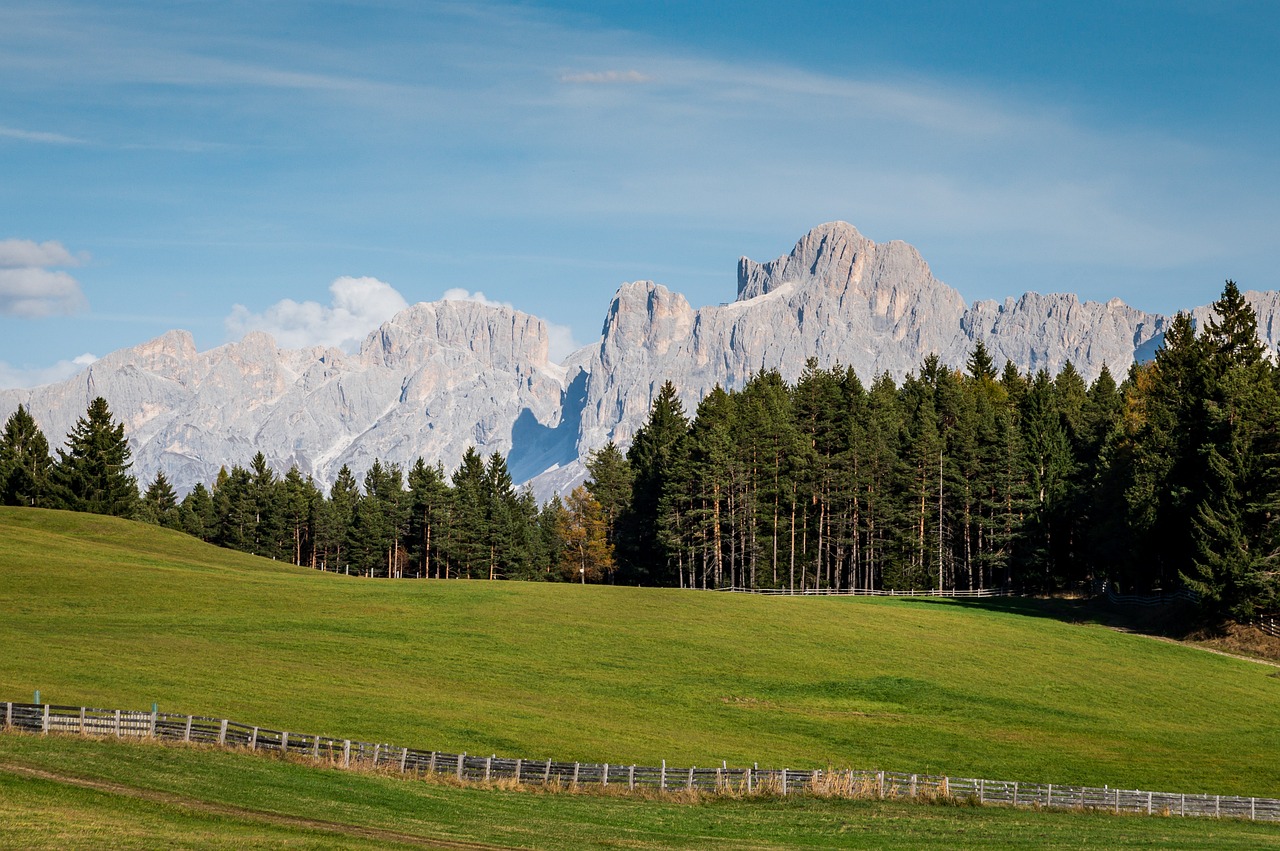 meadow, hill, mountains-8600362.jpg